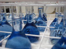 Carbon organique total